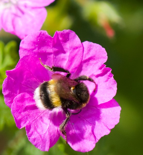 2010_06_13_999_51 2.jpg